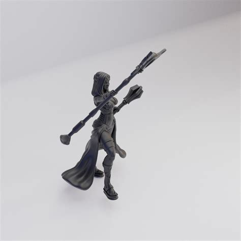 Hot Goblin 戦闘巫女 ミニチュア ホットゴブリン TRPG 聖職者