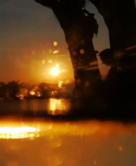 Sommersonne Foto & Bild | experimente, projekte, unschärfe Bilder auf ...