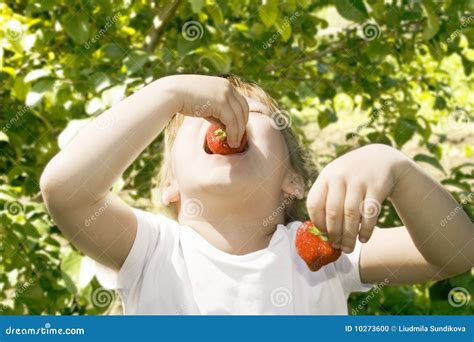 Girl Eating Strawberries Stock Photo Image Of Caucasian 10273600