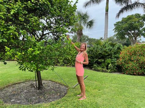 Diabetes Management: 5 Ways to Prepare for a Natural Disaster - Naples