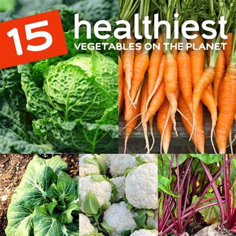 15 Healthiest Vegetables On The Planet Healthwholeness