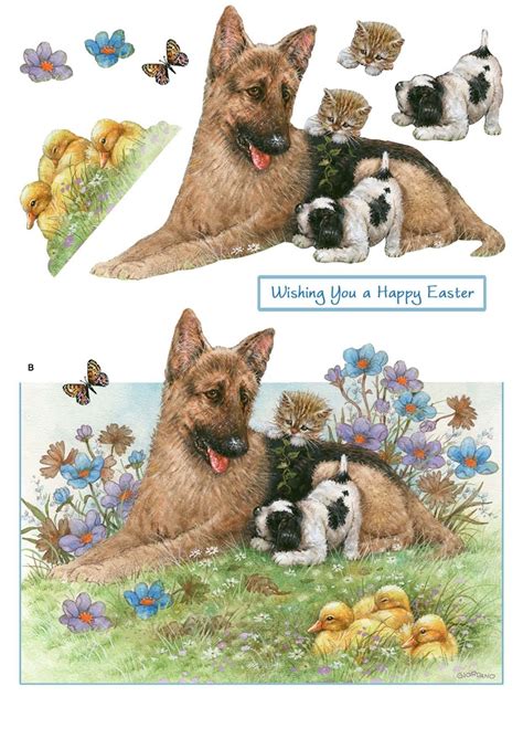 Au Fil Des Pages 3d Chiens 2