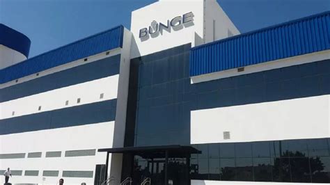 Bunge Abre Processo Seletivo Vagas Sem Experi Ncia Para Candidatos