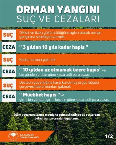 Orman Yang Nlar Na Kar Su Ve Ceza Lar Gaziantep Pusula Gazetesi