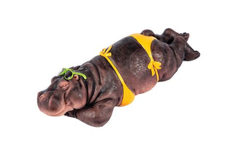 Bikini Hippo Hamac Trading