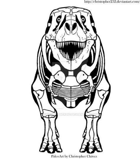 Tyrannosaurus Sue Front View By Christopher On Deviantart Dinosaur Art Dinosaur Skeleton