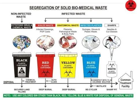 Hospital And Laboratory Waste Management • Microbe Online