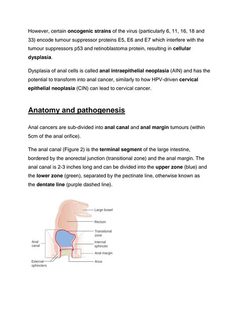 SOLUTION Anal Cancer And Anal Intraepithelial Neoplasia Ain Surgery