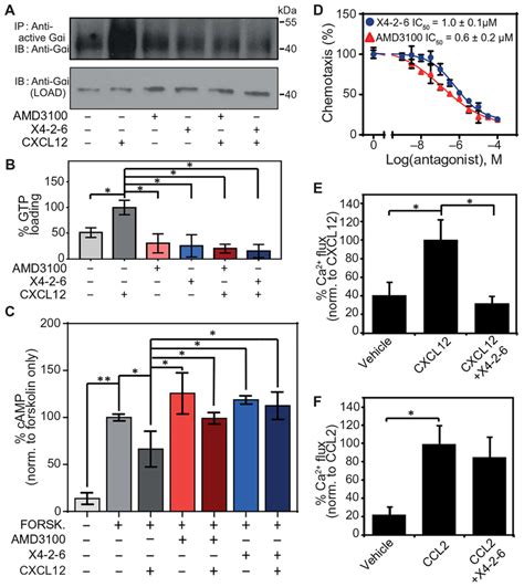 26901 Published Pictures NewEast Biosciences GTPase Oncogene And