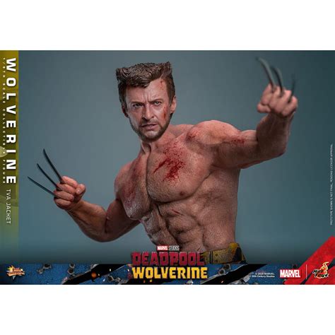 Hot Toys Marvel Deadpool Wolverine Wolverine Tva Jacket Version Mms Figurine