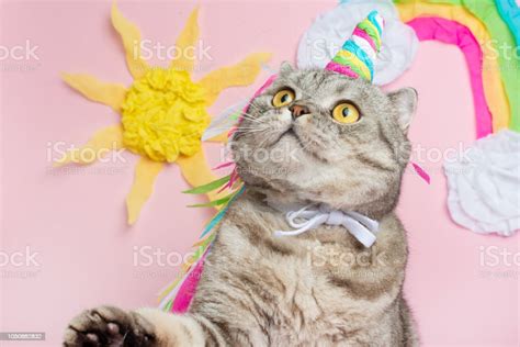 Cute Cat Unicorn With A Rainbow Horn On A Pink Background With Sunshine Clouds And Colorful