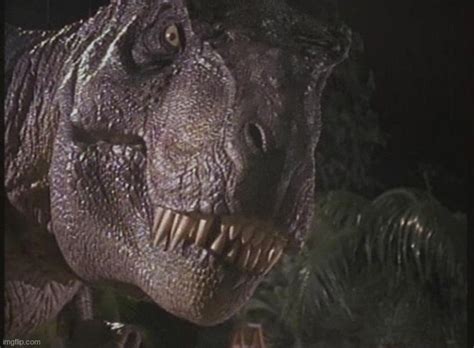 Rexy Imgflip