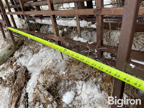 Cattle Panels | Agriculture | BigIron
