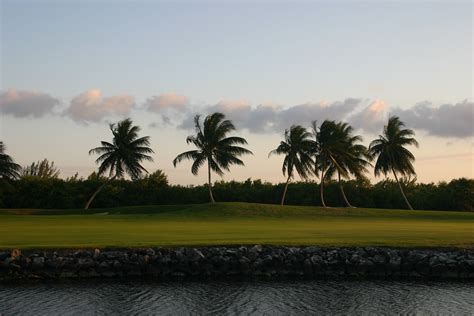 rain tree golf course 8