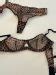 Lingerie Leopard Printed Transparent Push Up Lace Underwire Bra And