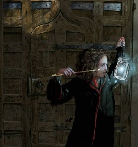 Illustrated Harry Potter Books The Mary Sue