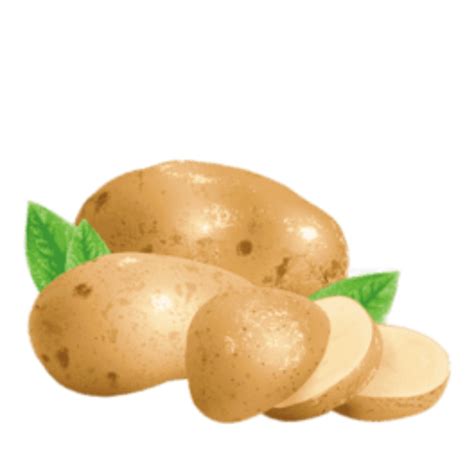 Картофель оптом купить в Свердловской области - Картошка оптом ...