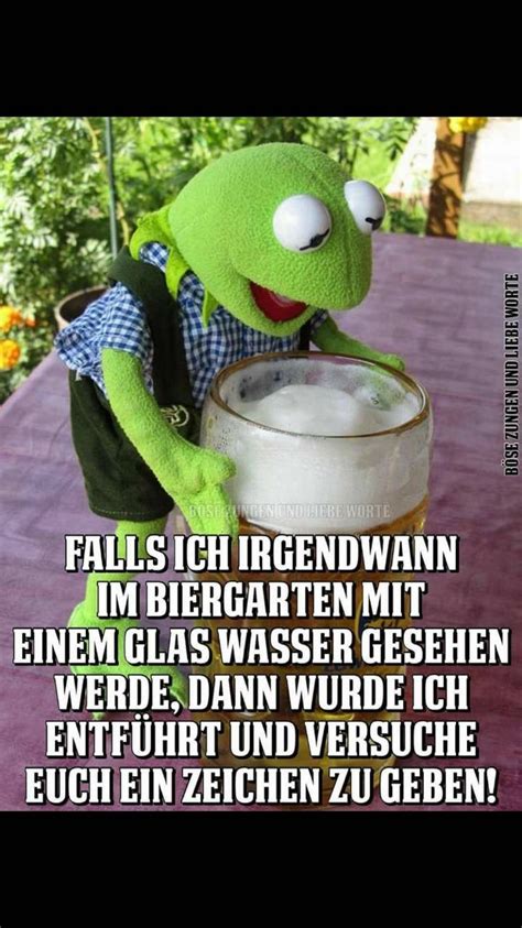 Frosch Kermit Alkohol sprüche lustig Witzige bilder sprüche Sprüche