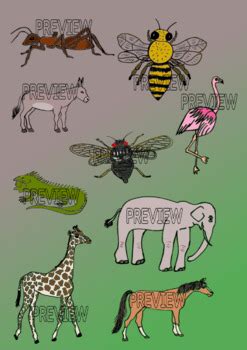 Colored Science Sketch Animal Alphabet Clip Art by Mother of Flowers