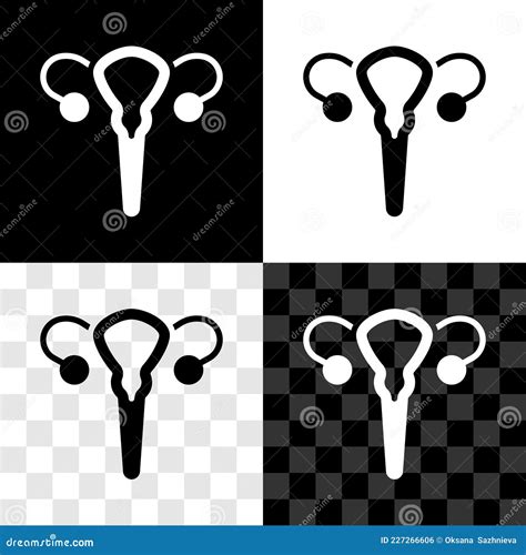 Set Female Reproductive System Icon Isolated On Black And White