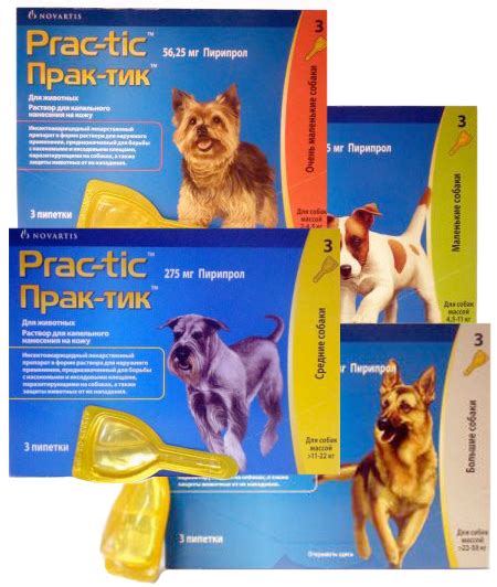 Prac-tic капли ( Novartis,Германия ) по минимальной цене в зоомагазине ...