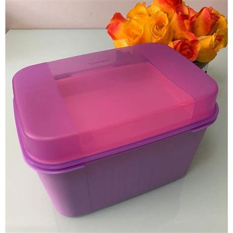 Visual Box 4 5 Litros Tupperware Modular Organizador Pote Magazine