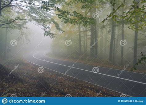 An Asphalt Road That Goes Through A Misty Dark Misterious Pine F Stock