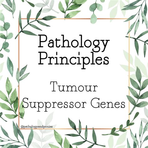 Tumour Suppressor Genes Pathology And Ponies