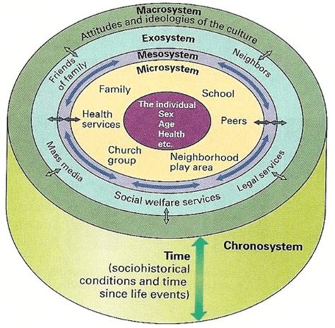 Bronfenbrenner S Bioecological Model Of Human Development Adapted From