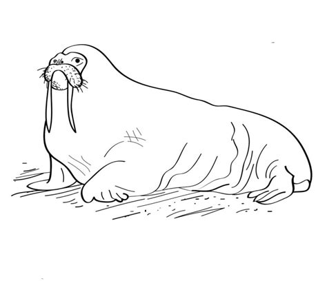 Раскраски Аляска | Распечатать бесплатно