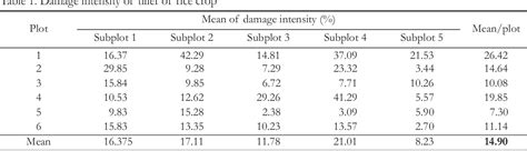table   daily captured pattern  rice field rat  trap