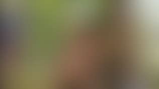 El Matador Anal Garden Vidéos Porno Gratuites YouPorn