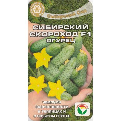 Огурец "Сибирский скороход F1" 7шт - Семена ВК Омск, Купить Семена в Омске