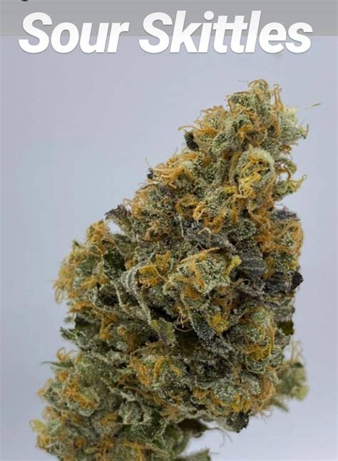 Wicked Sour Skittles (Wicked Sowa Seeds) :: Cannabis Strain Info