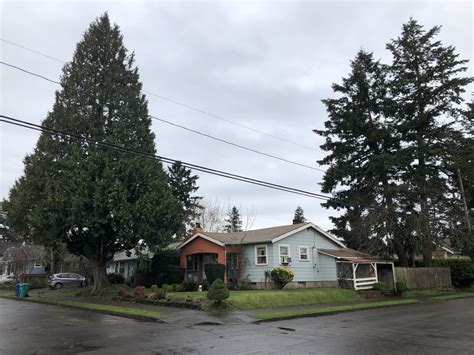 Portland's Tree Canopy: A Fight for Survival.