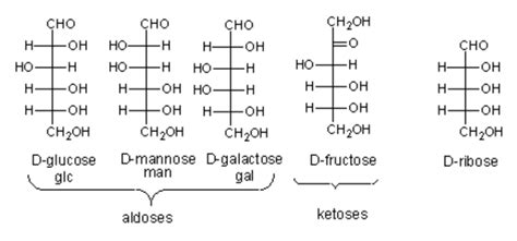 Saccharide structures 🥴 : r/Mcat