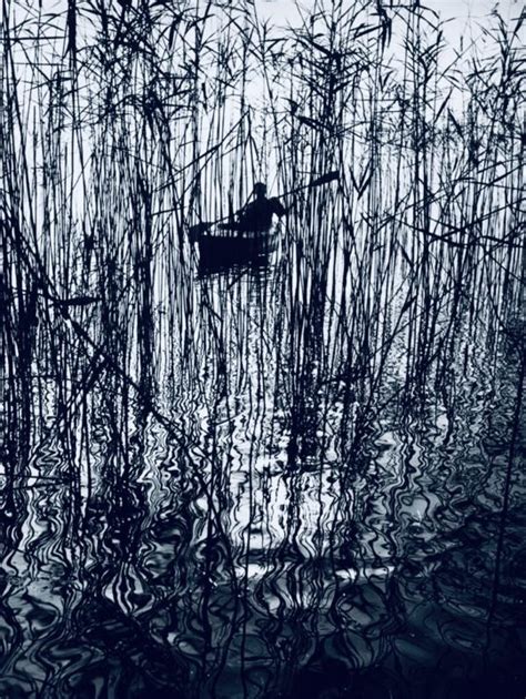 Paddling through the reeds | MATTHEW'S ISLAND