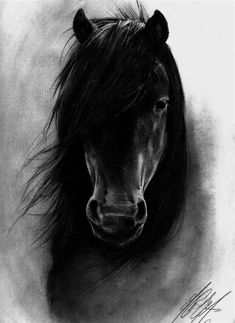 Black Horse By Lesideesnaufragees On Deviantart