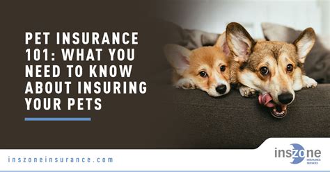 pet insurance        insuring  pets inszone insurance