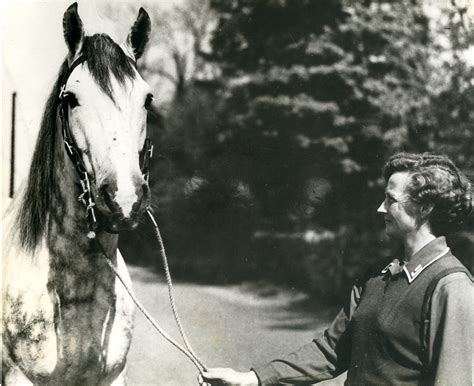 History - Dromquinna Stables