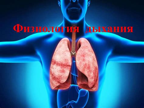 Физиология дыхания - презентация онлайн