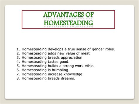 Appalachian homesteading skills are saving families thousands 31