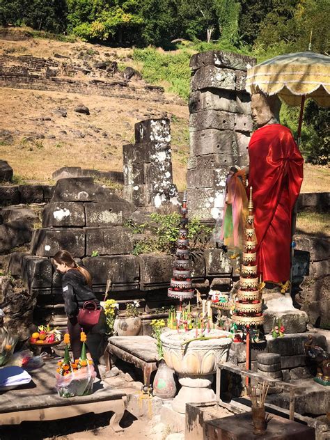 Home - Green Paradise