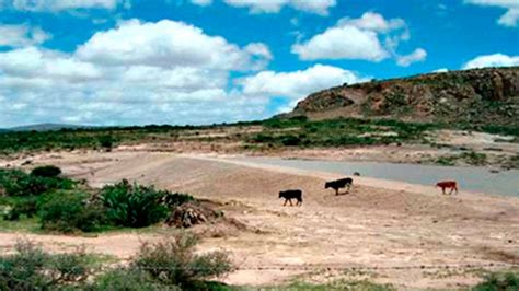 México y Qatar intercambiarán experiencias en manejo de cultivos en