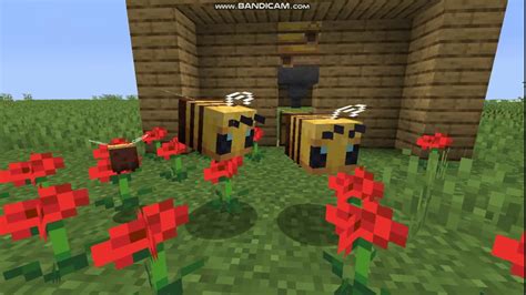 Jak zrobić automatyczną farmę miodu w Minecraft YouTube