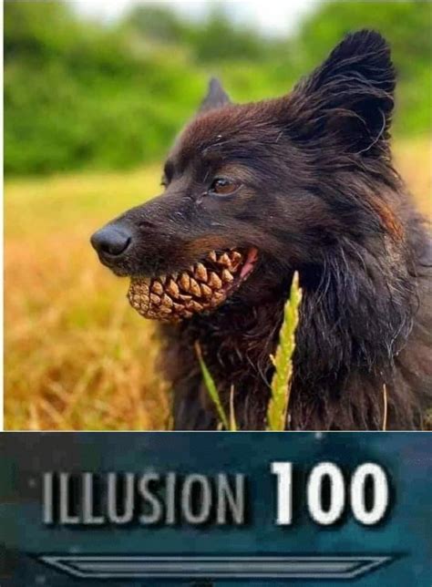 Hell Dog Roddlyterrifying