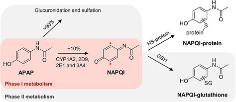 frontiers liquid chromatography tandem mass spectrometry analysis