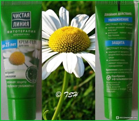 Крем-гель для кожи вокруг глаз Чистая линия "Ромашка и петрушка" - «Мне ...