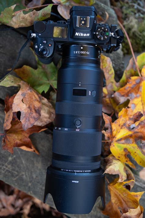 Illuminations from the attic: Nikon Z 70-200mm f2.8 VR S Review