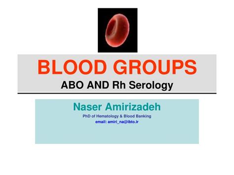 Ppt Blood Groups Abo And Rh Serology Powerpoint Presentation Free